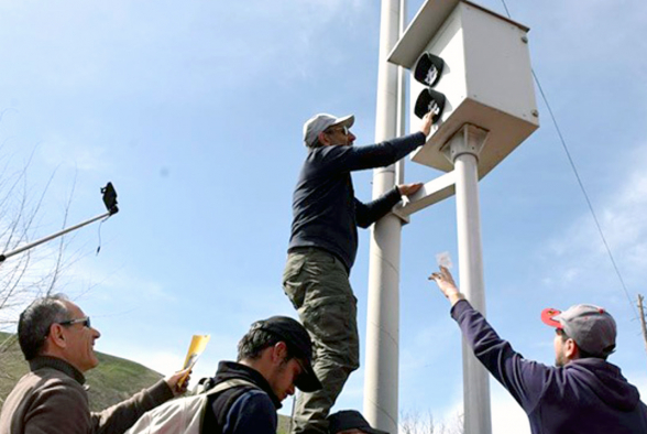 Почему Никол вспомнил о Сашике – 7orTV